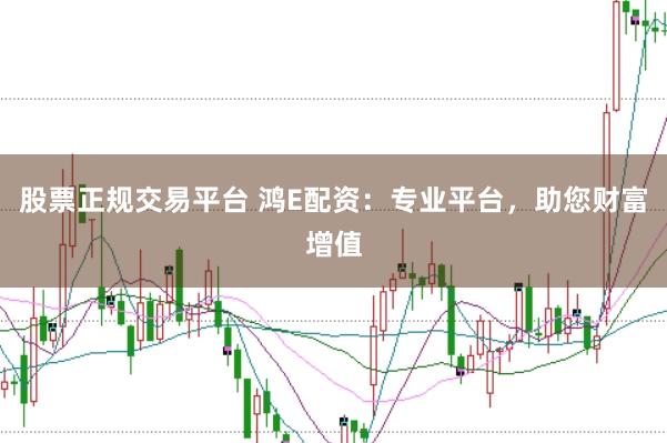 股票正规交易平台 鸿E配资：专业平台，助您财富增值