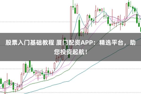 股票入门基础教程 厦门配资APP：精选平台，助您投资起航！