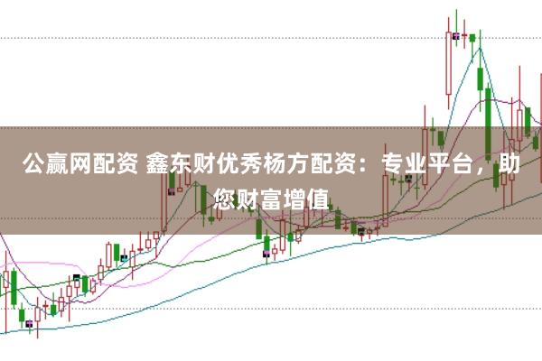 公赢网配资 鑫东财优秀杨方配资：专业平台，助您财富增值