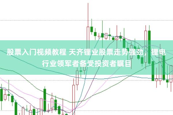 股票入门视频教程 天齐锂业股票走势强劲，锂电行业领军者备受投资者瞩目