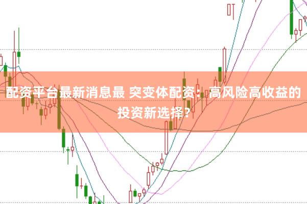 配资平台最新消息最 突变体配资：高风险高收益的投资新选择？